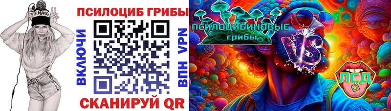 цена   Макарьев  Псилоцибиновые грибы Psilocybe 